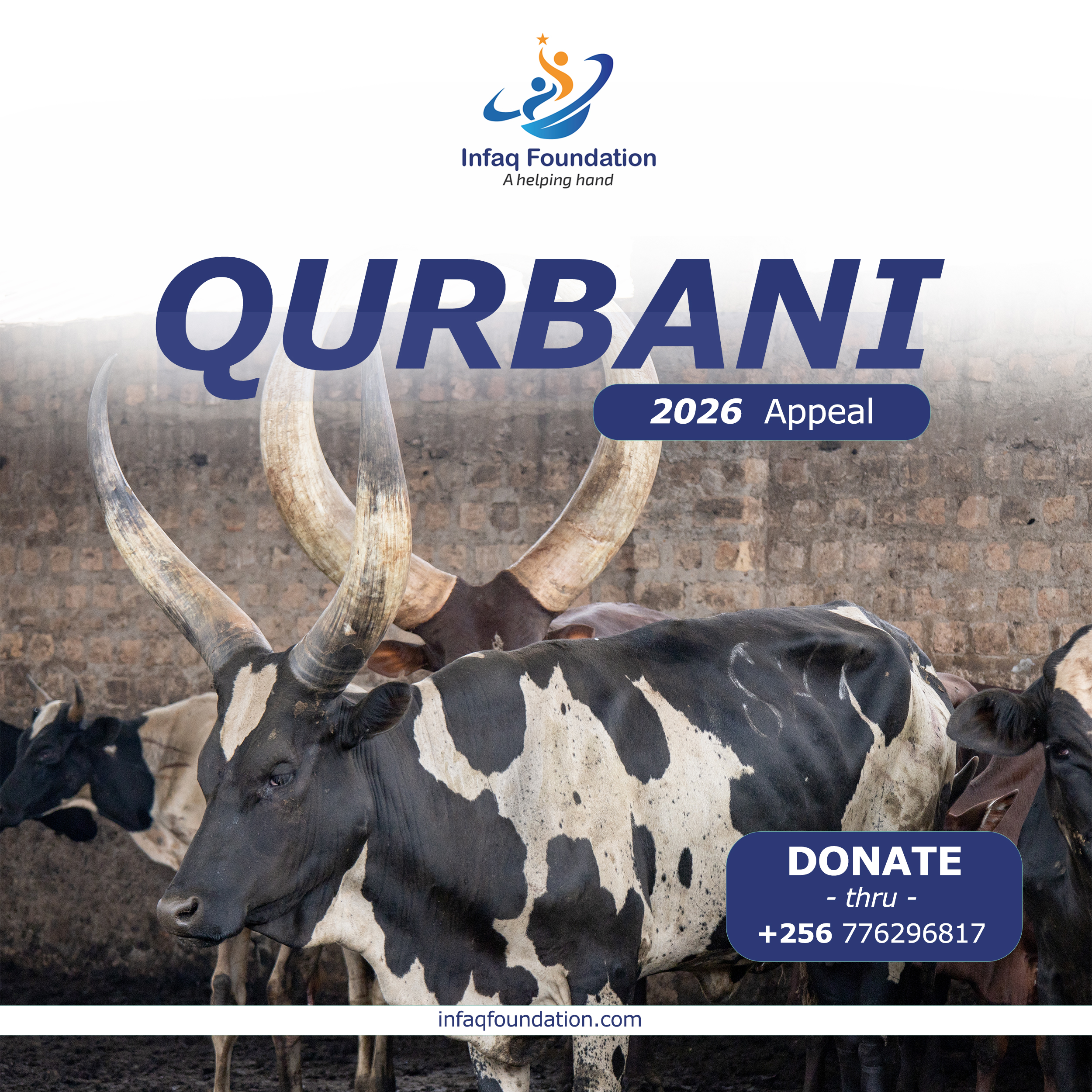 Infaq Foundation project photo: QURBANI appeal 2026